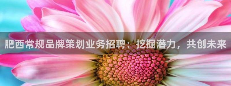 美高梅mgm1888公司官网