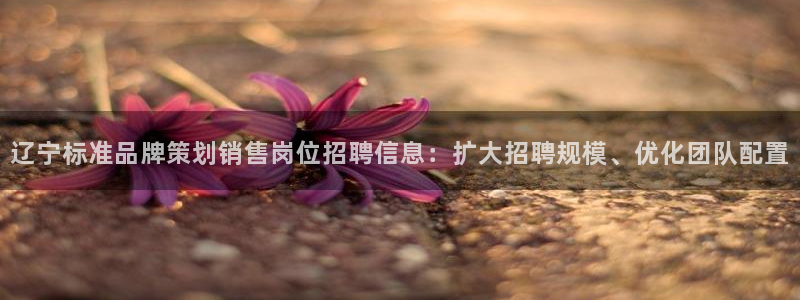 美高梅网络平台游戏网址