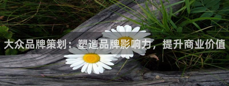 美高梅棋牌官网入口