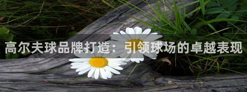 美高梅游官方网址