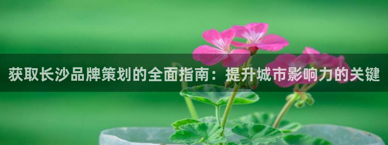 美高梅棋牌官网入口