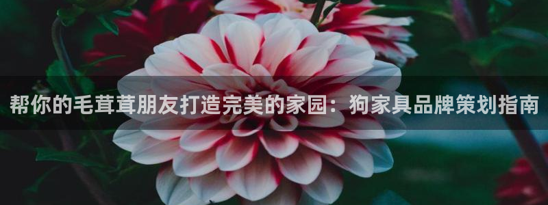 澳门mgm娱乐官网