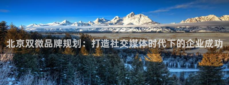 mgm美高梅平台游戏