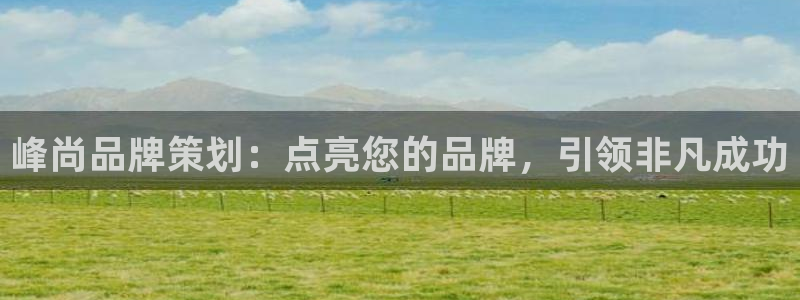美高梅官网正网|峰尚品牌策划：