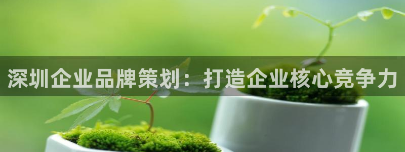 美高梅MGM电子娱乐游戏|深圳
